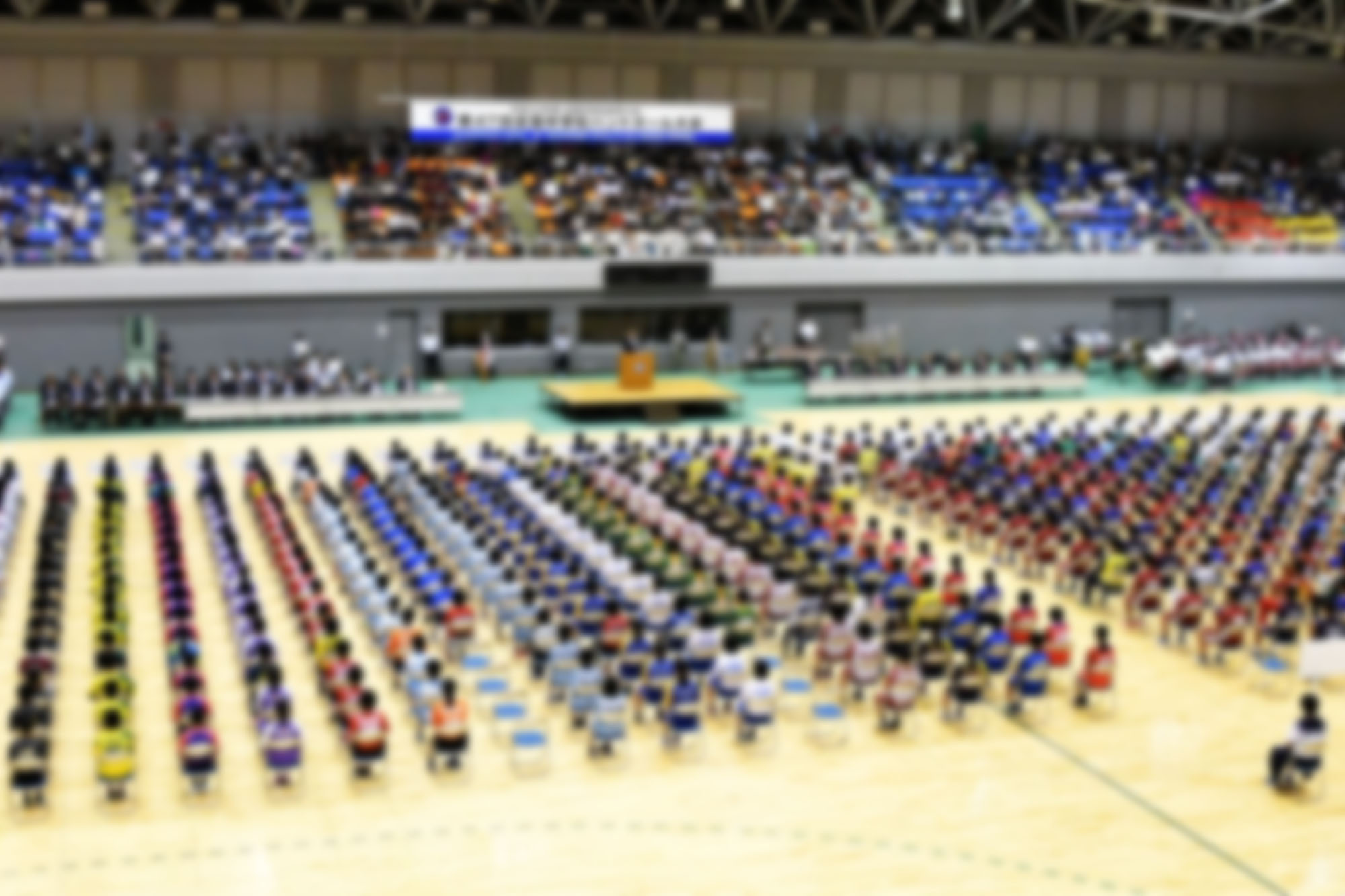 中学校体育大会 全国中学校体育大会